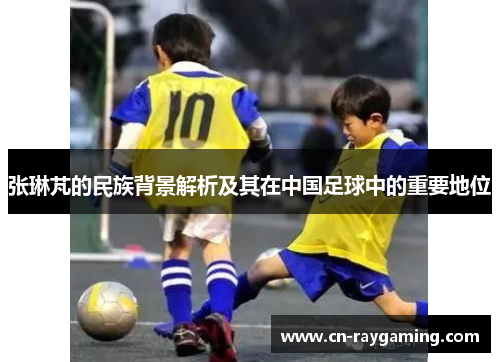张琳芃的民族背景解析及其在中国足球中的重要地位